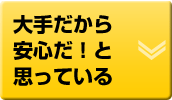 大手だから安心だ！と思っている