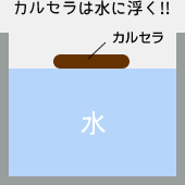 カルセラは水に浮く