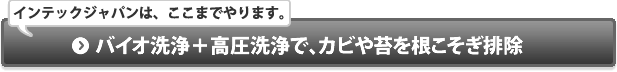 バイオ洗浄＋高圧洗浄でカビや苔を根こそぎ排除