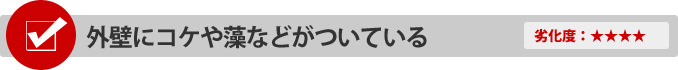 外壁にコケや藻などがついている