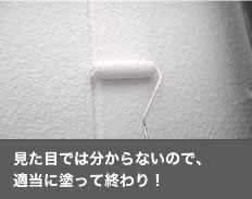 見た目ではわからないので、適当に塗って終わり！