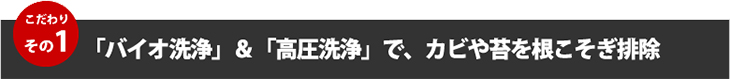 こだわりその１、「バイオ洗浄」＆「高圧洗浄」で、カビや苔を根こそぎ排除