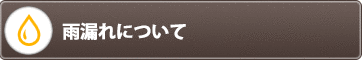 雨漏れについてもっと知る