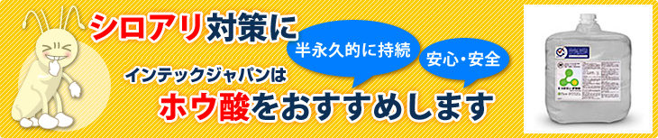 シロアリ対策にインテックジャパンはホウ酸施工をお勧めします。