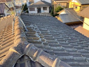 【八街市】下川原久幸様_20241201_20231129_000